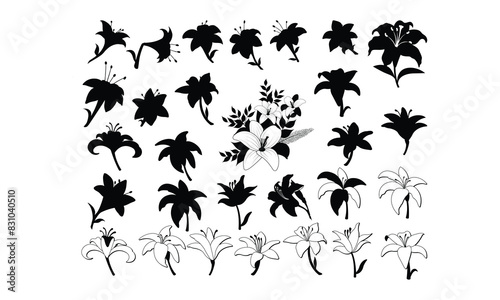 Easter lily Vector bundle, Baby Penguin Clipart, Silhouette, Vector, icons, illustration, design.