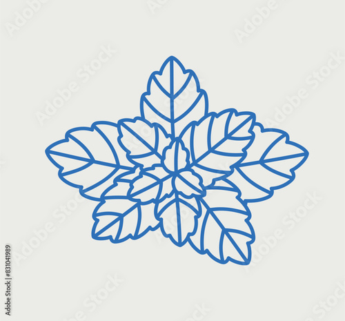 Mint. Line art, retro. Plants and herbs for cosmetics.
