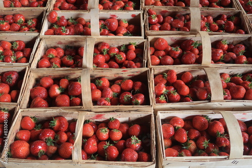 Fresh delicious strawberries in a basket photo