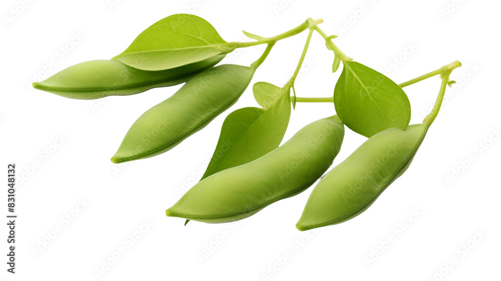 Green soy beans isolated on transparent png background.
Green soy beans isolated on transparent png background.
