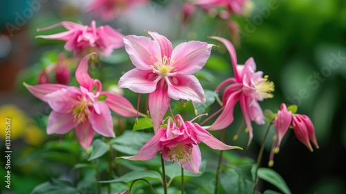 A close-up of a pink flower in bloom. 