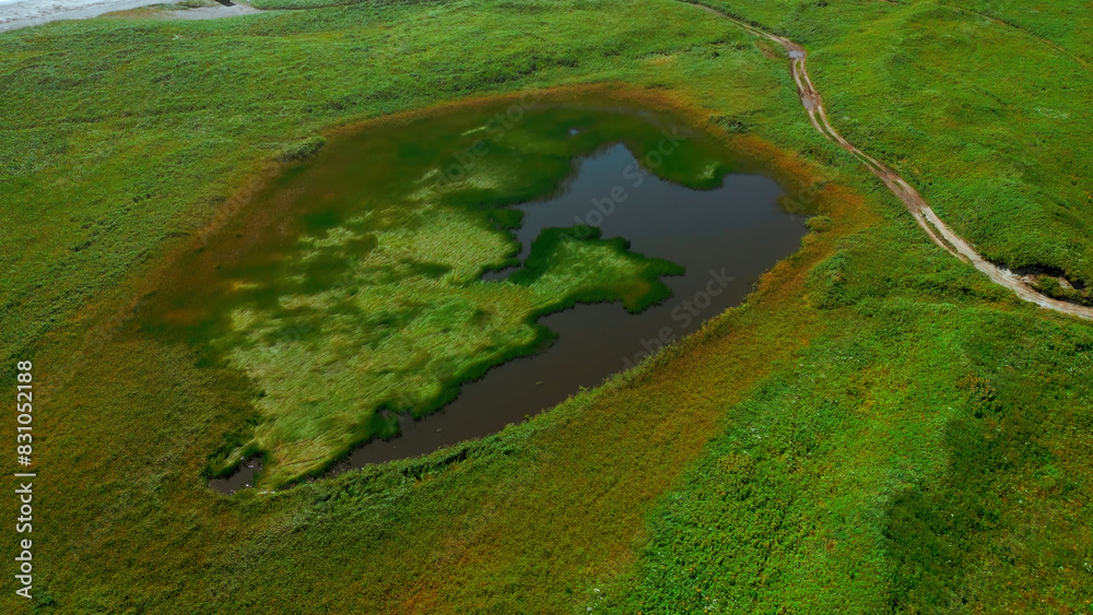 Obraz premium Small pond on green agricultural field in spring. Clip. Aerial of green meadow and tiny lake.