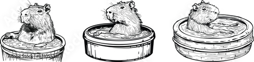 Set of  capybara relaxing in a hot tub, vector illustration.