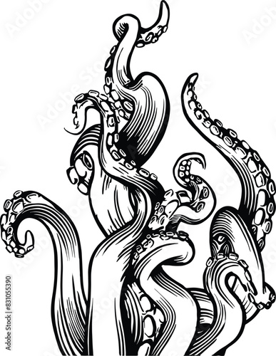 Silhouette of octopus tentacles, vector illustration.