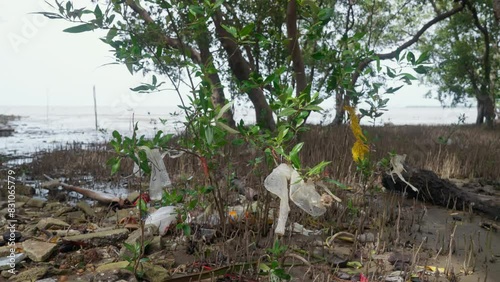 Plastic trash stuck on trees in the mangrove forest