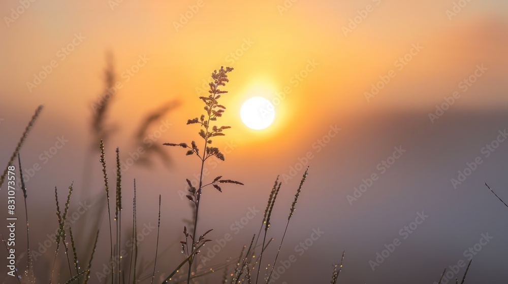 Sunrise with 3D sunlight