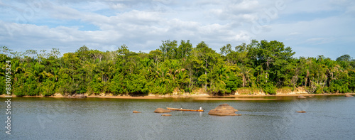 Scene on the bank of Suriname river

