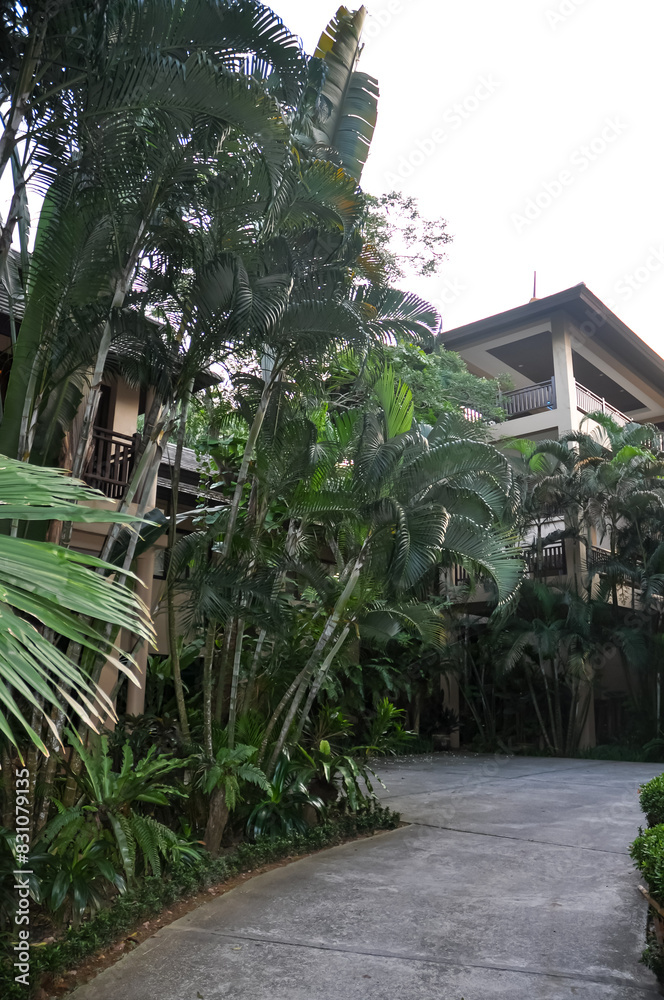 Beautiful hotel area on Phuket island in Thailand Beautiful hotel area on Phuket island in Thailand