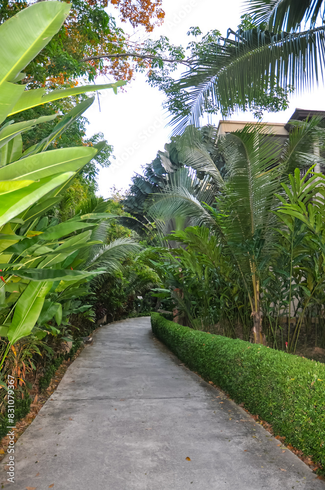 Beautiful hotel area on Phuket island in Thailand Beautiful hotel area on Phuket island in Thailand