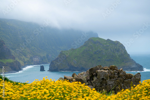 Beautiful view from Miradouro da Baía de Além on the Atlantic ocean coast with yellow flowers Corn Marigold on the Flores island, the Azores, Portugal.