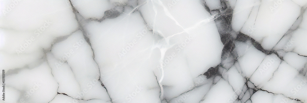 Texture et fond en marbre blanc.
Texture et fond en marbre blanc.