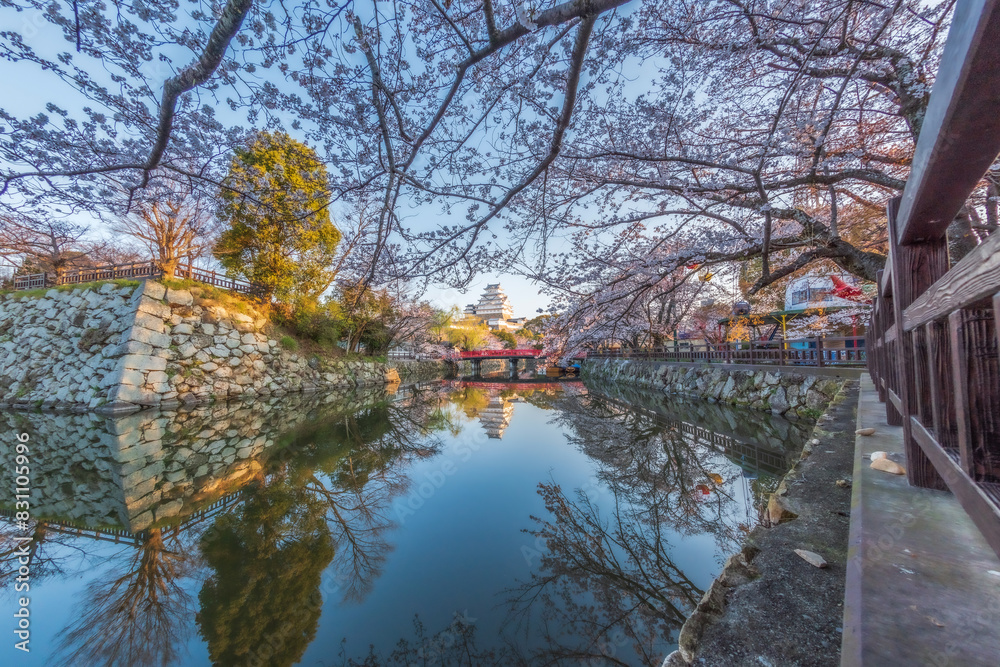 Himeji Castle White Heron Castle in Hyogo, Japan with beautiful full bloom sakura in spring.. Himeji Castle White Heron Castle in Hyogo, Japan with beautiful full bloom sakura in spring..