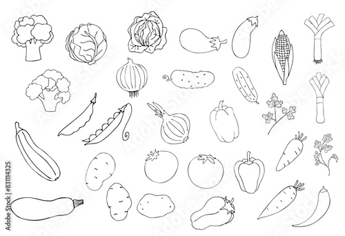 Vegetables doodle drawing collection. Hand-drawn vector illustrations of doodles in black isolated on a white background. Carrots, corn, cucumbers, cabbage, potatoes and other vegetables. 