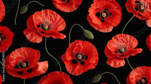 Dramatic red poppies against black for impactful graphic art and fashion,