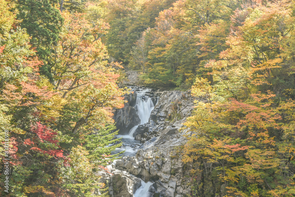 Landscape View Of Beautiful Waterfall (Hottai Falls, Hottai-No-Taki) With Colorful Autumn Leaves At Yurihonjo, Akita, Tohoku, Japan Landscape View Of Beautiful Waterfall (Hottai Falls, Hottai-No-Taki) With Colorful Autumn Leaves At Yurihonjo, Akita, Tohoku, Japan