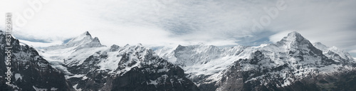 Panoramic view to the M  nch und Jungfrau mountain