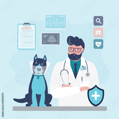 Veterinary clinic, doctor examining, vaccination, health care for pets. Veterinarian doctor examines sick dog. Vet clinic, animal care, pet medical treatment