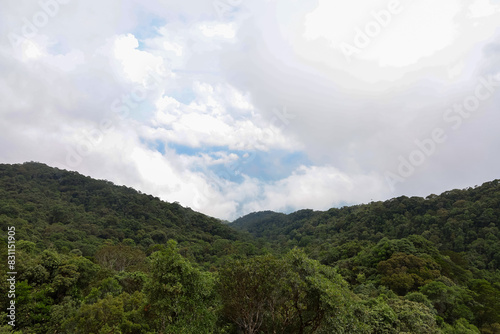 the tree mountain view before from banahill cable car photo