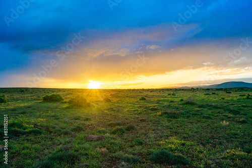 Photos Green South African Eastern Cape bushveld with sun setting grass veld landscape