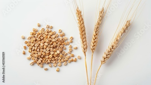 ancient grain goodness organic spelt kernels and wheat ear isolated on white top view photo