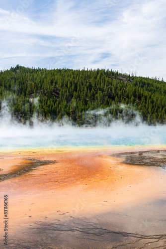 Steam rises from the colorful Grand Prismatic Spring at Yellowstone National Park in Wyoming on a sunny day, with trees, mountains, and sky in the background