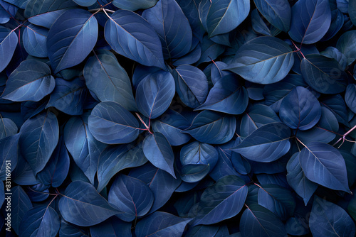 Dark blue leaves background  top view. A large number of dark green and purple leaves form an abstract pattern on the ground.