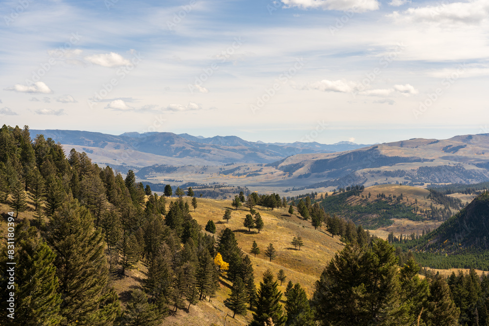 Fototapeta premium View from Blacktail Plateau Drive near the Lamar Valley in Yellowstone National Park on a sunny fall day in Wyoming