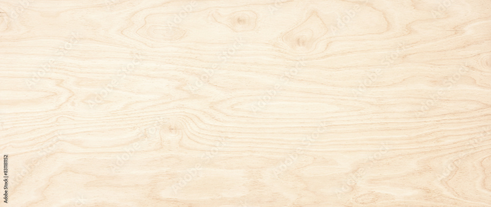 wood texture with empty space. wooden background wood texture with empty space. wooden background
