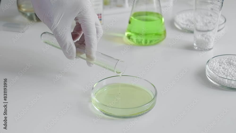 A scientist in a chemical laboratory poured from a test tube a liquid for analysis in a Petri dish. A scientist in a chemical laboratory poured from a test tube a liquid for analysis in a Petri dish.