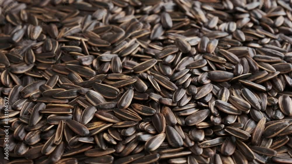 Close-up of many roasted striped sunflower seeds. Background from natural products. Close-up of many roasted striped sunflower seeds. Background from natural products.