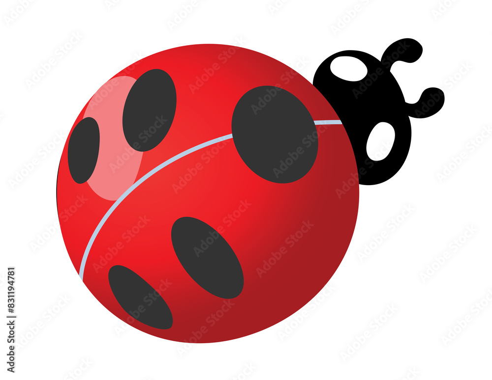 Fototapeta premium Ladybug isolated on transparent background.
