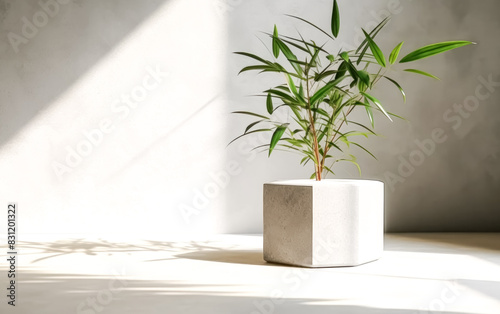 A small plant is sitting in a white and gray pot