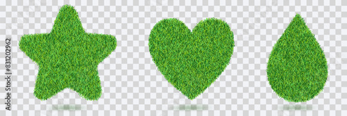 Water drop, star, heart shapes with realistic lawn grass texture on transparent background. Vector eco plant or garden design element. Ecology environment concept