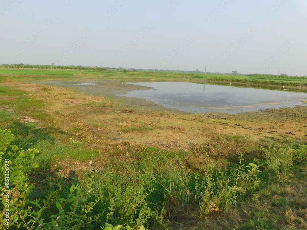 It's a place where it feels like the sky and the river's water have merged. Sky and water like same color. Have some Water hyacinths and other aquatic plants It's a place where it feels like the sky and the river's water have merged. Sky and water like same color. Have some Water hyacinths and other aquatic plants