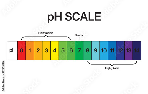 pH SCALE. pH scale Vector scientific graph. pH scale indicator chart diagram with an arrow. Acid and alkaline solutions. acid-base balance infographic. A pH scale on a white background.