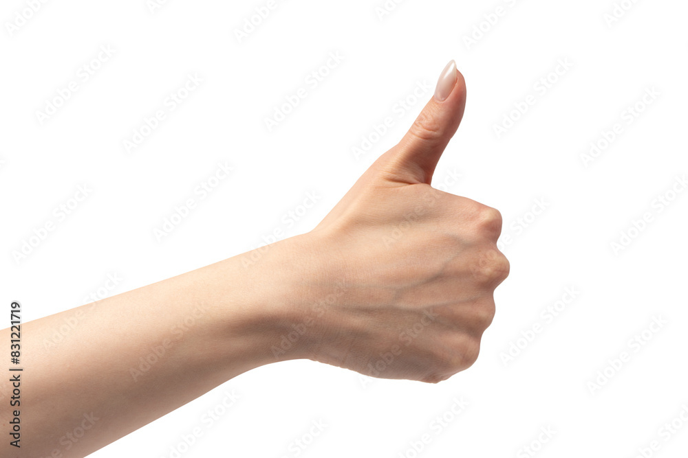 Woman hands isolated on a white background. Woman hands isolated on a white background.
