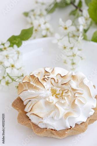 Delicious tartlet with meringue on a white plate. Sweet treat in spring or summer, copy space