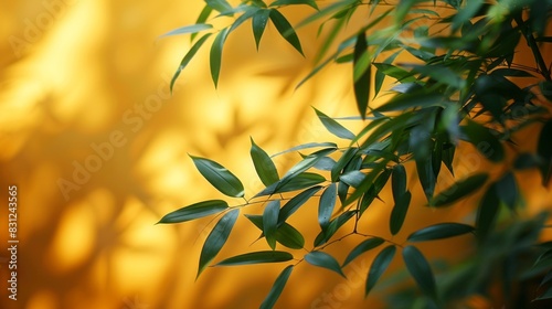 Serene bamboo background with green bamboo leaves against a misty, green backdrop photo