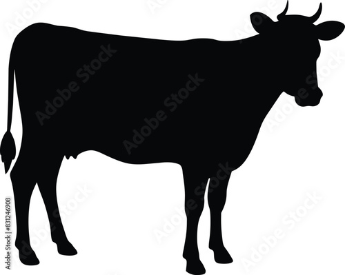 Cow black silhouettes on white background