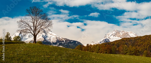 High resolution stitched alpine spring panorama with Mount Watzmann in the background near Bischofswiesen, Berchtesgadener Land, Bavaria, Germany photo