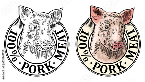 Pig head. 100 percent pork meat lettering. Vintage vector engraving