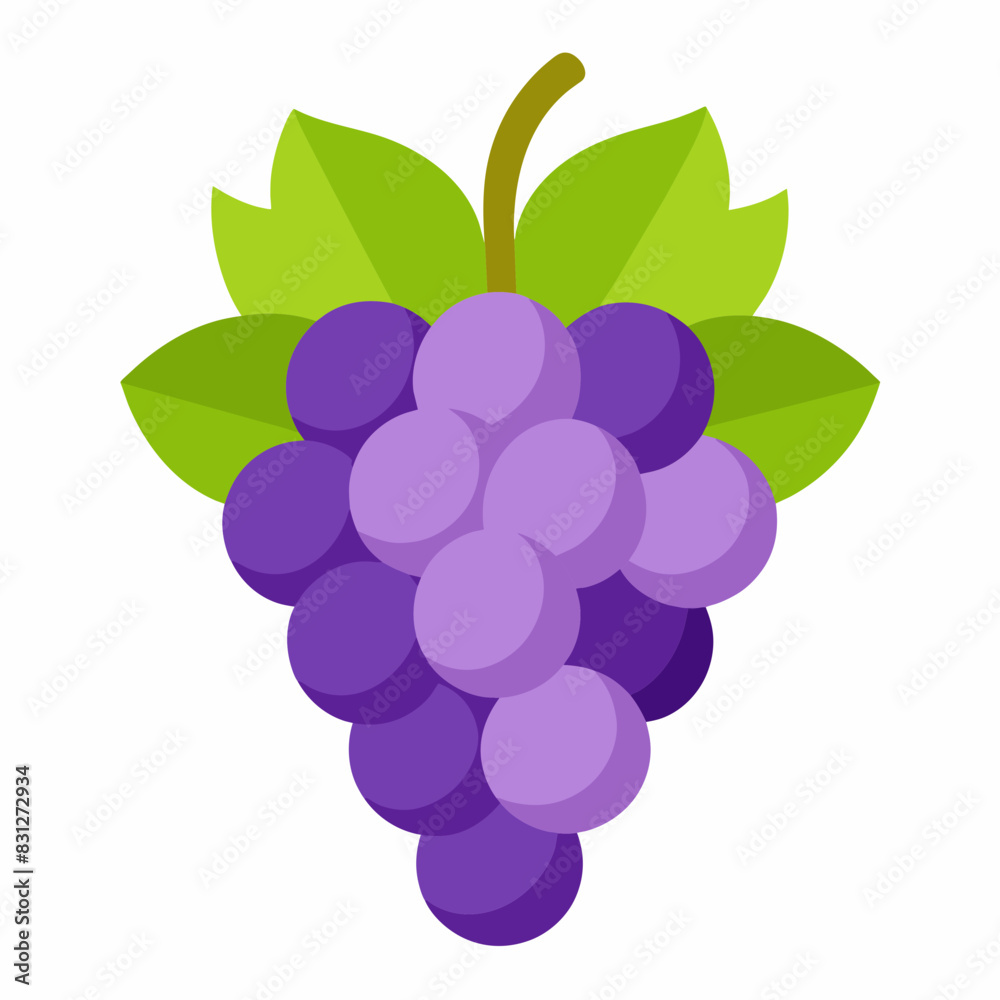 vector illustration of grape