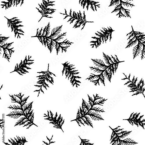 Seamless pattern with spruce tree branches. Winter Christmas branches, hand drawn twigs.