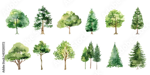 Set collection of hand drawn watercolor green tree and bush painting illustration