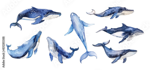 Set collection of hand drawn watercolor blue whale underwater ocean animal