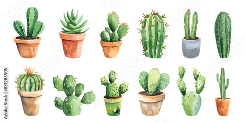 Set collection of hand drawn watercolor cactus succulents in pot desert flower garden tropical indoor plant vector illustration photo