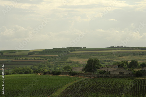 A farm with a house and trees