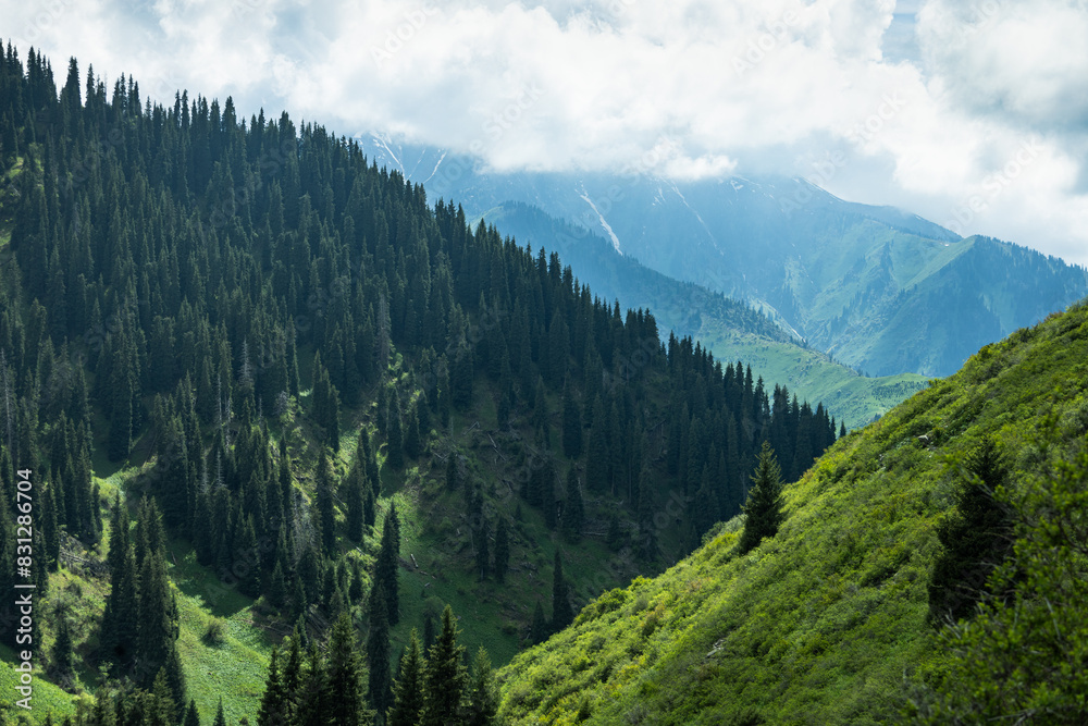 Fototapeta premium Mountains in Kazakhstan, Almaty city