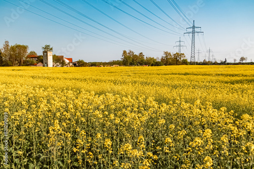 Beautiful spring view with a rapeseed field and overland high voltage lines near Tabertshausen, Deggendorf, Bavaria, Germany