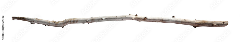Old dry tree branch isolated on white
